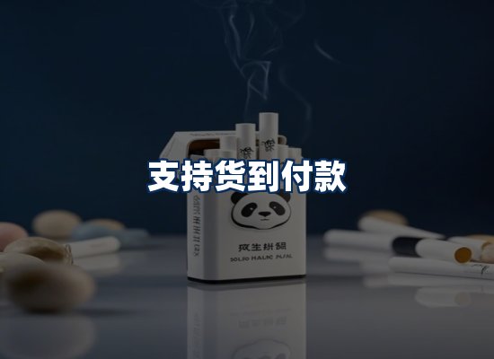 专业团队办公环境